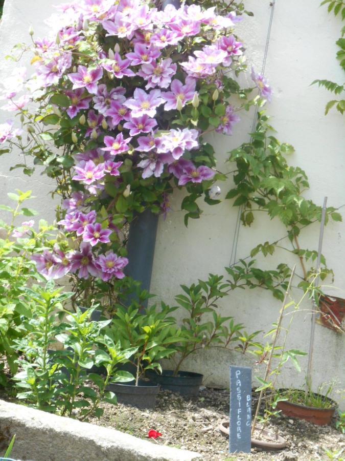ユエルゴア La Mare Aux Fees Bed & Breakfast エクステリア 写真